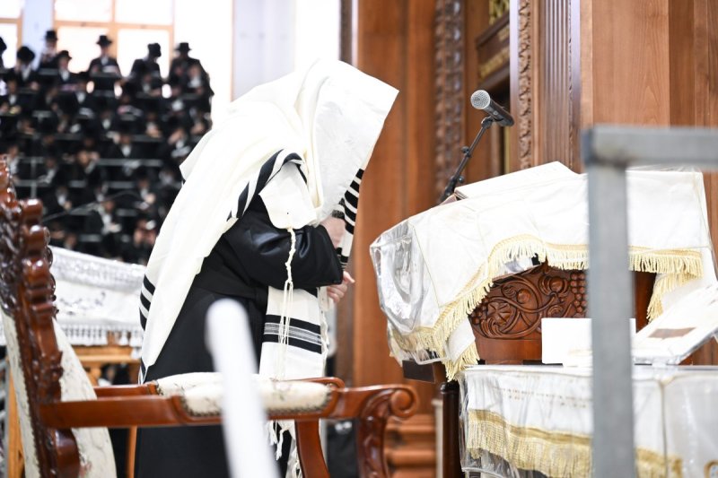 משה גולדשטיין