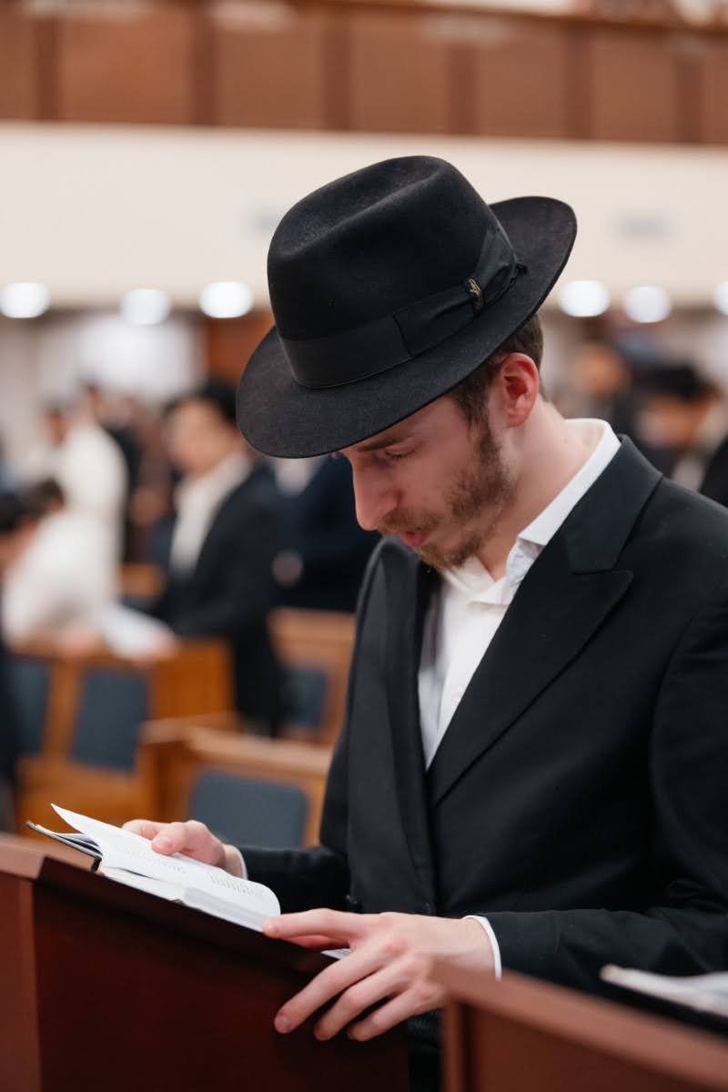 דוברות הקהילה