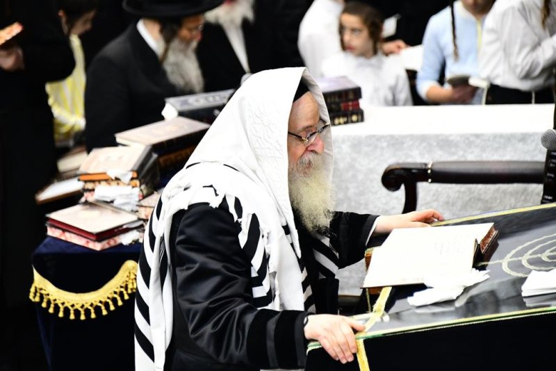שוקי לרר