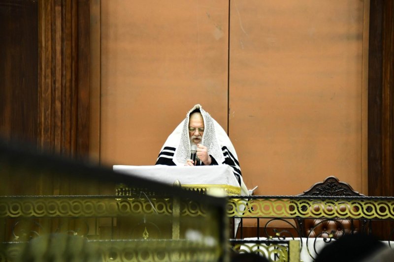 שוקי לרר