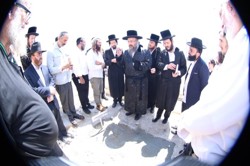 שלומי טריכטר