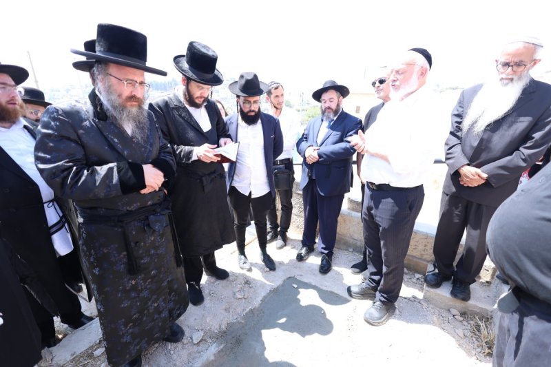 שלומי טריכטר