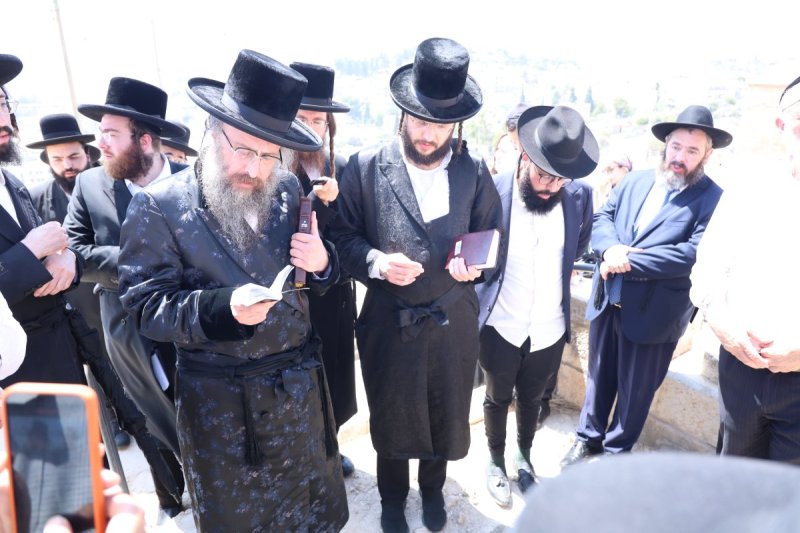 שלומי טריכטר
