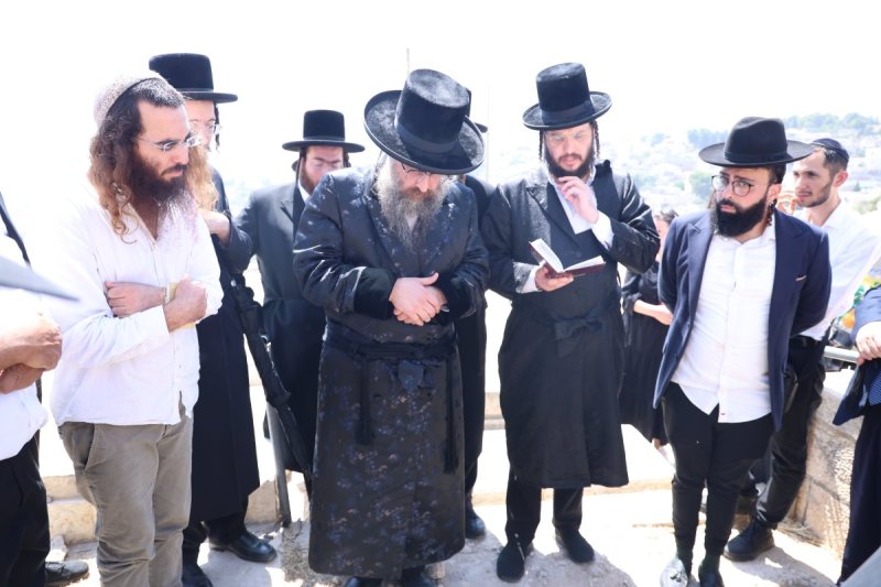 שלומי טריכטר