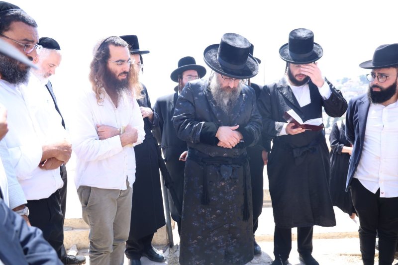שלומי טריכטר