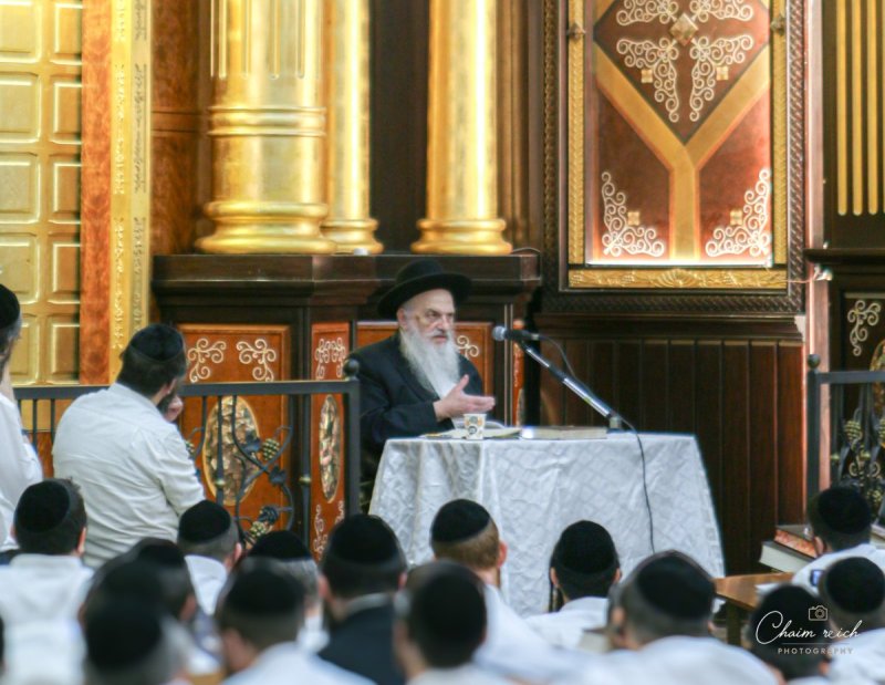 באדיבות המצלם