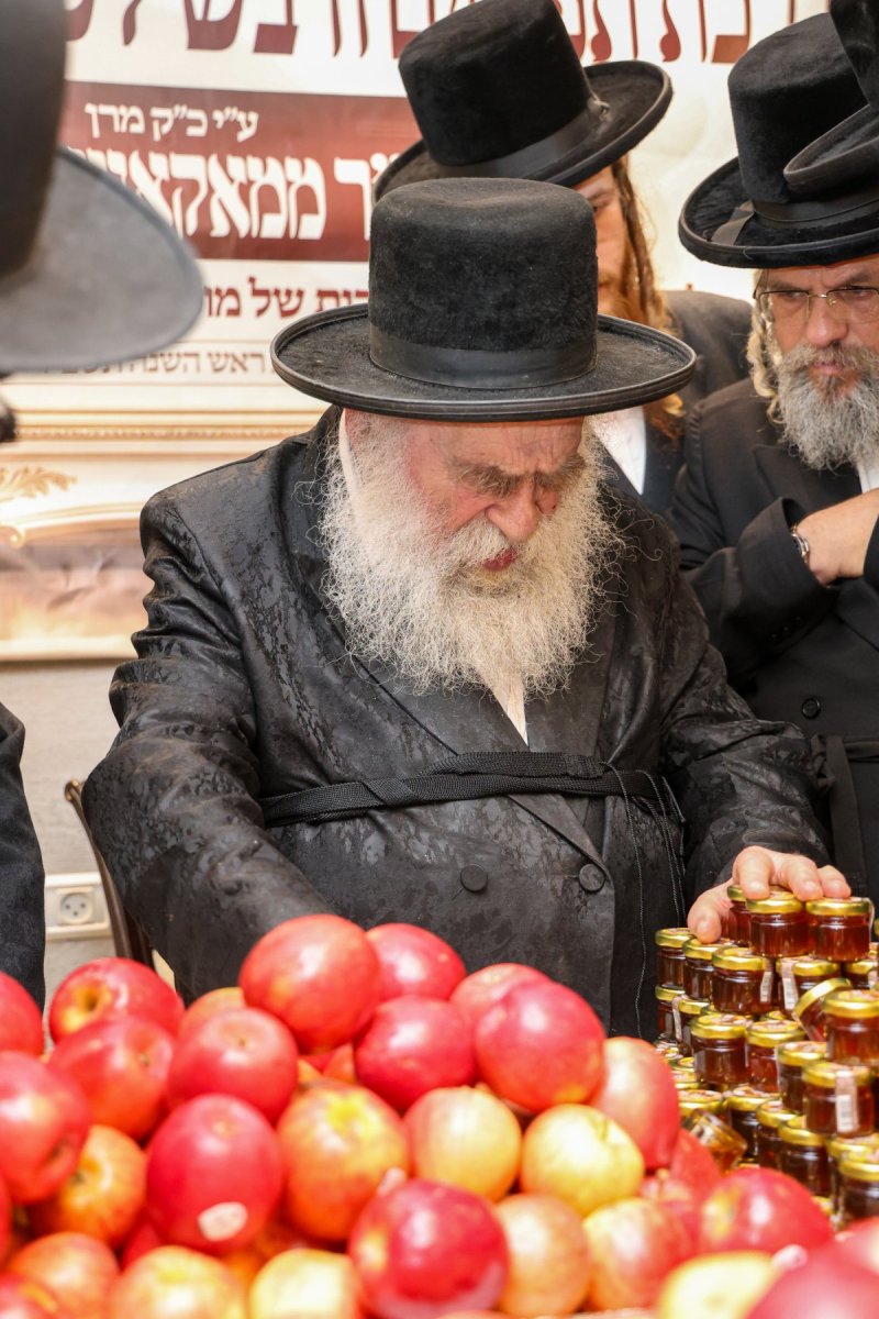 דוד ארזני