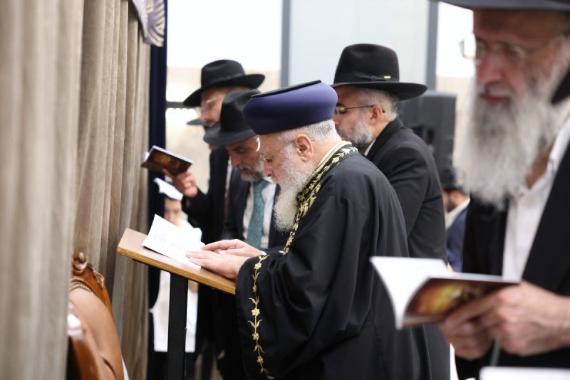 יעקב כהן