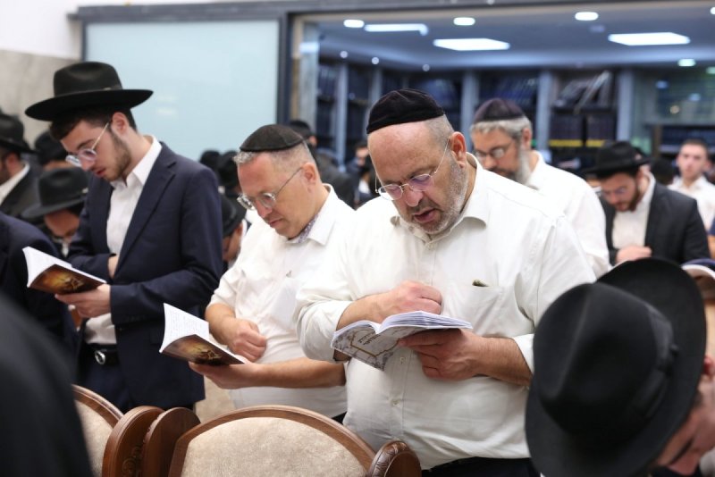 יעקב כהן