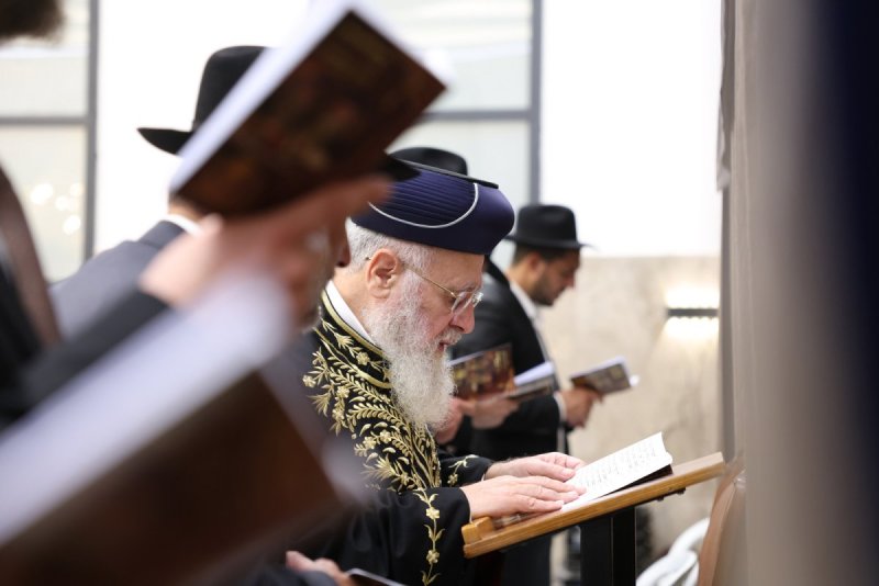 יעקב כהן