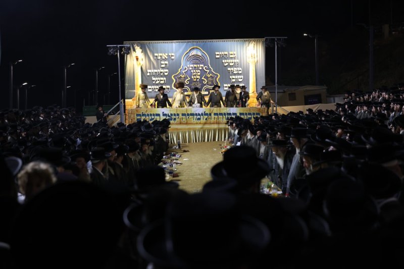 דוד כהן