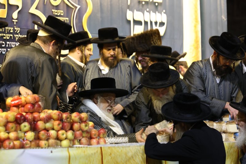 דוד כהן