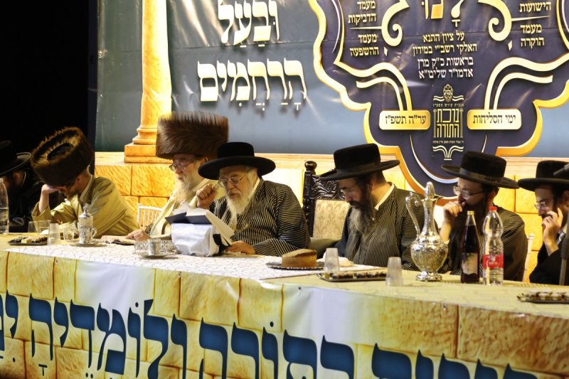 דוד כהן