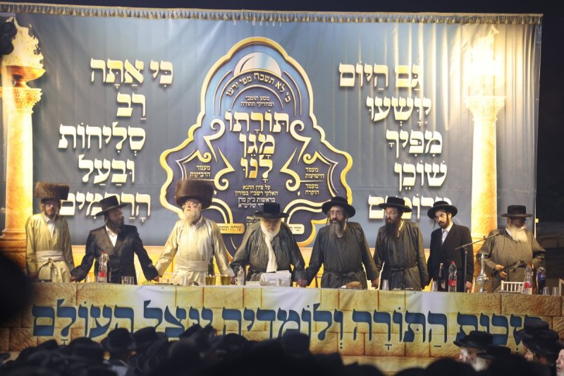 דוד כהן