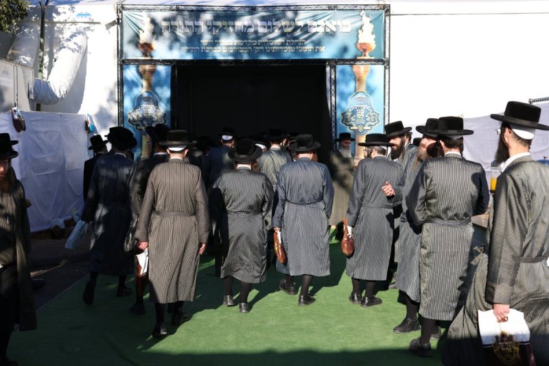 דוד כהן