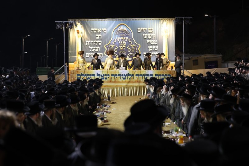 דוד כהן