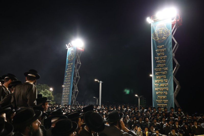 דוד כהן