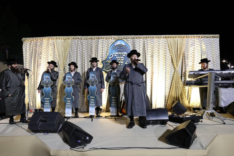 דוד כהן