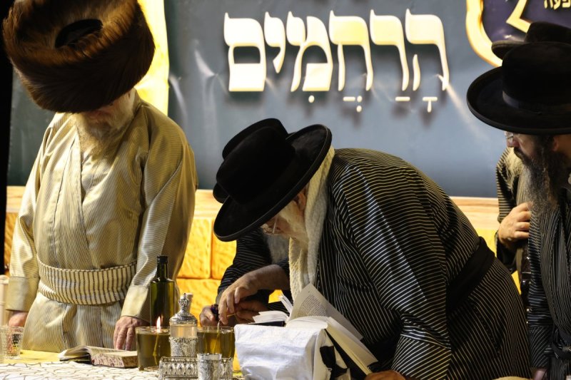 דוד כהן