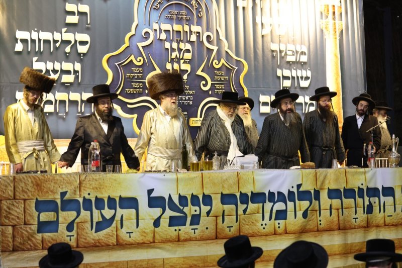 דוד כהן