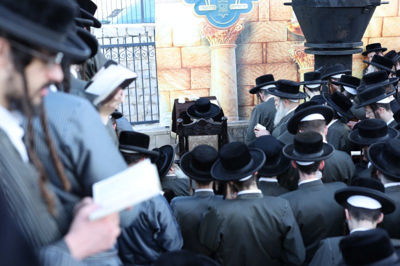 דוד כהן