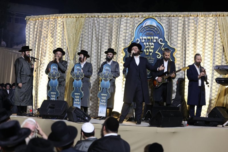 דוד כהן