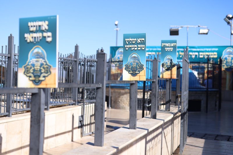 דוד כהן