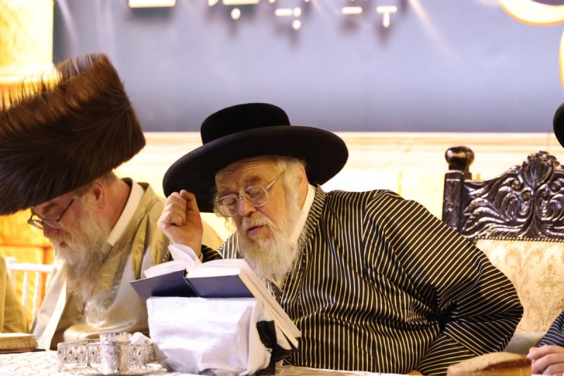דוד כהן