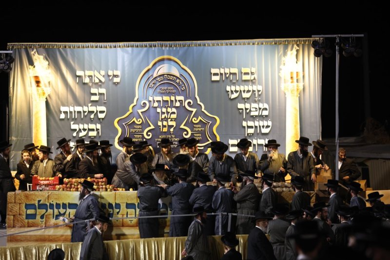 דוד כהן