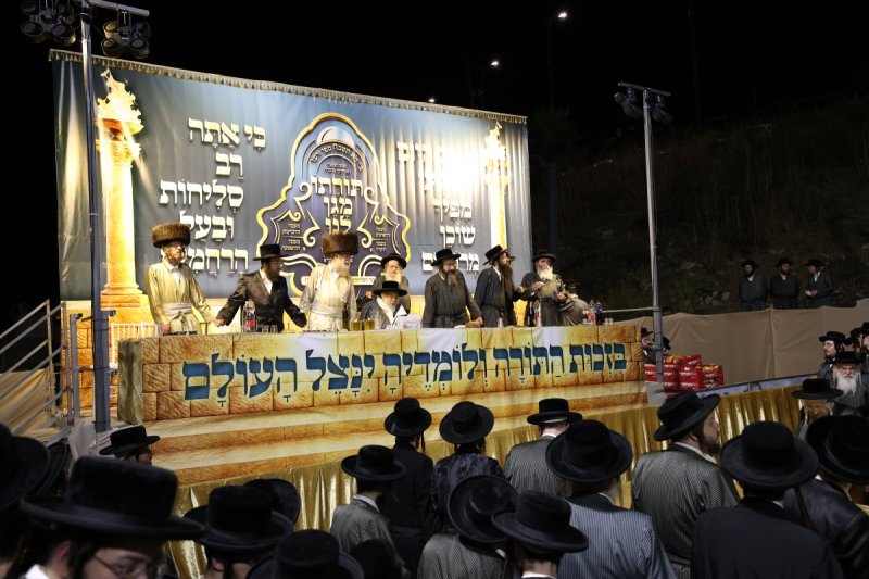 דוד כהן