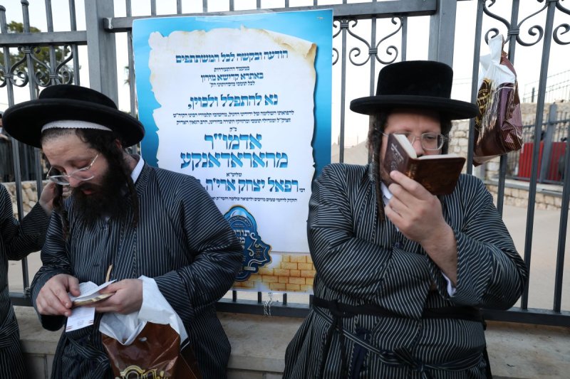 דוד כהן
