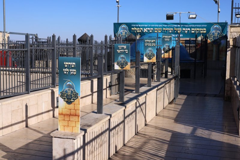 דוד כהן