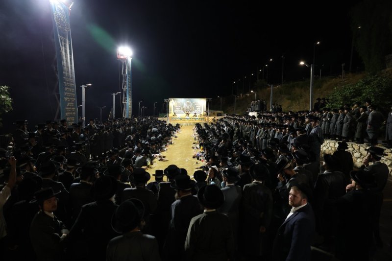 דוד כהן
