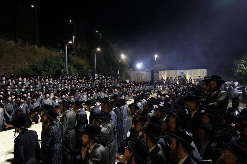 דוד כהן