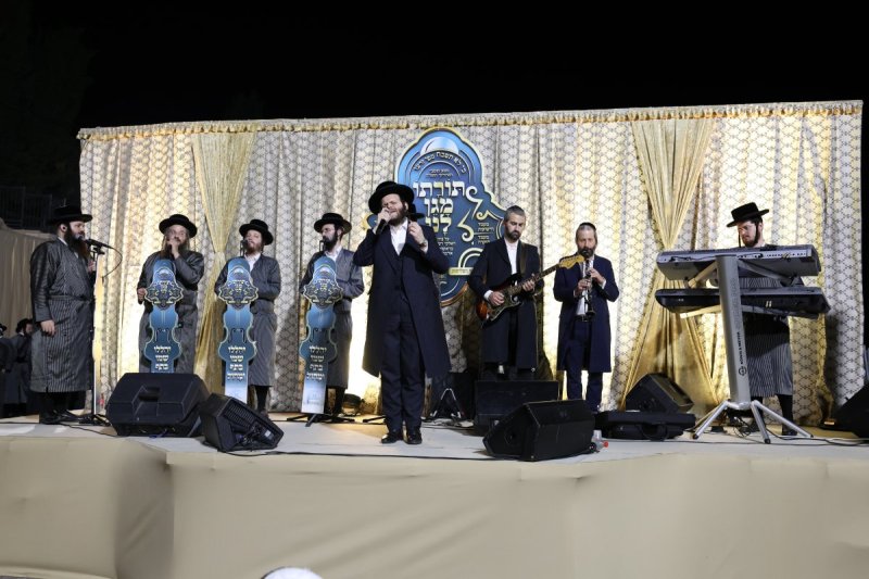 דוד כהן