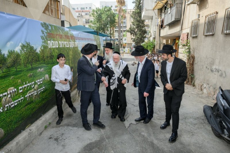 מנדי רוט, דברי חמד