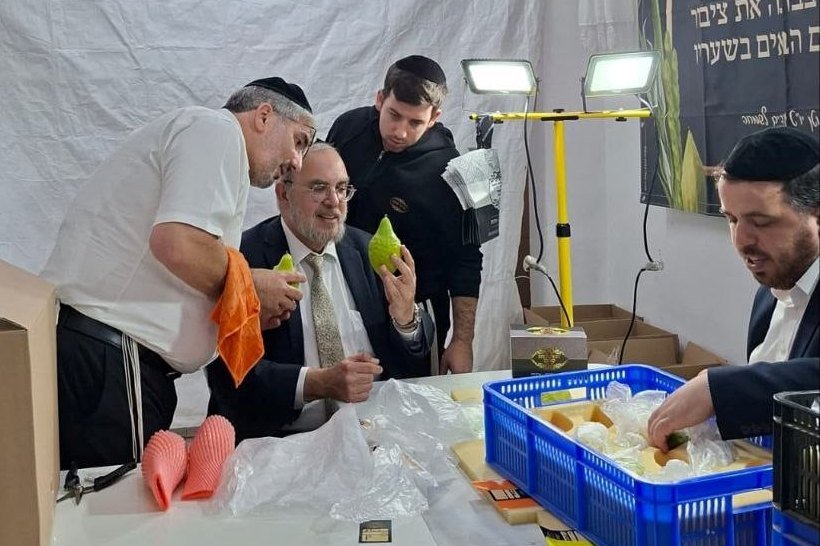 באדיבות המצלם