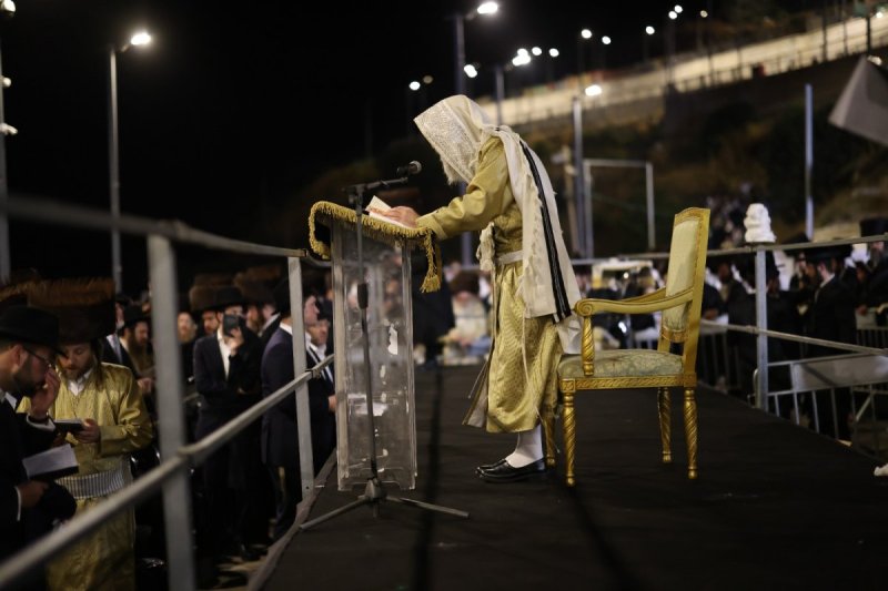 דוד כהן