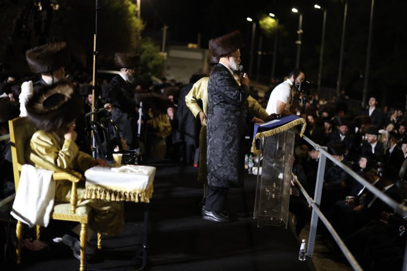 דוד כהן