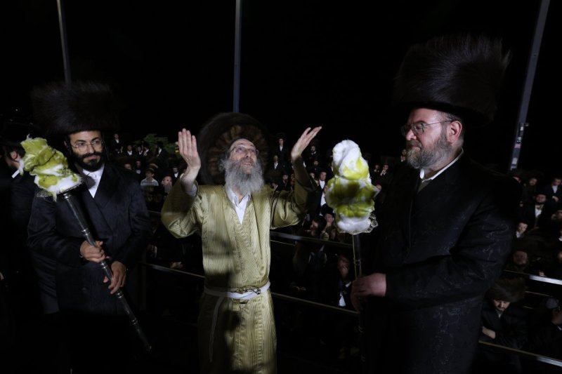 דוד כהן