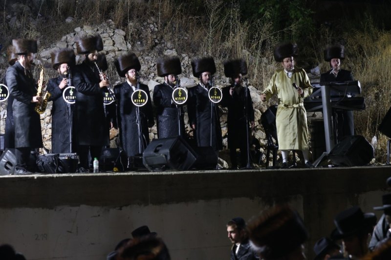 דוד כהן
