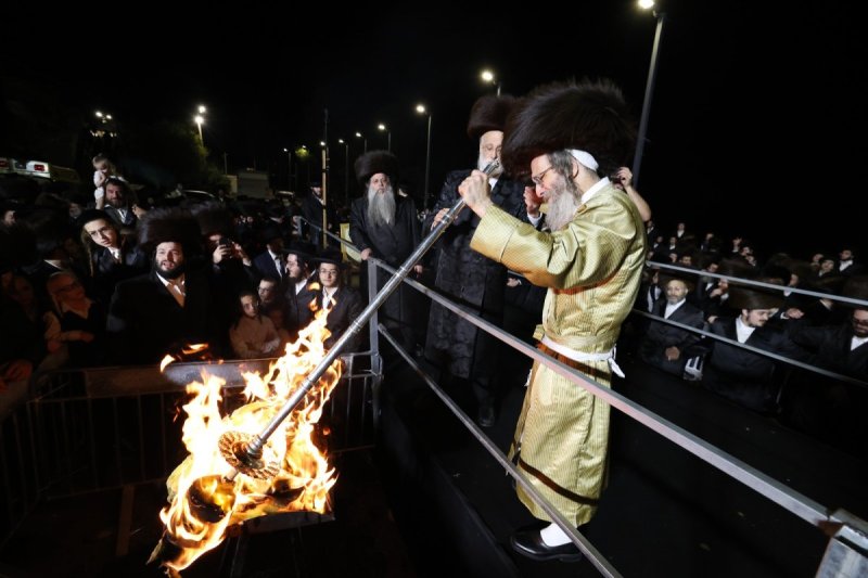 דוד כהן
