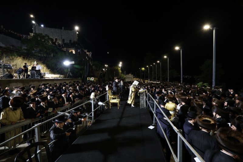 דוד כהן