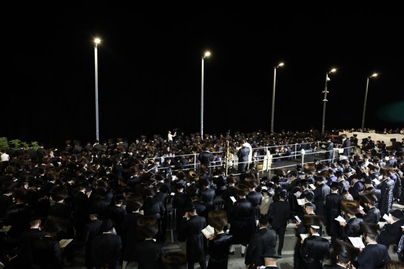 דוד כהן