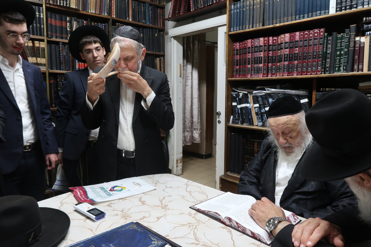שוקי לרר