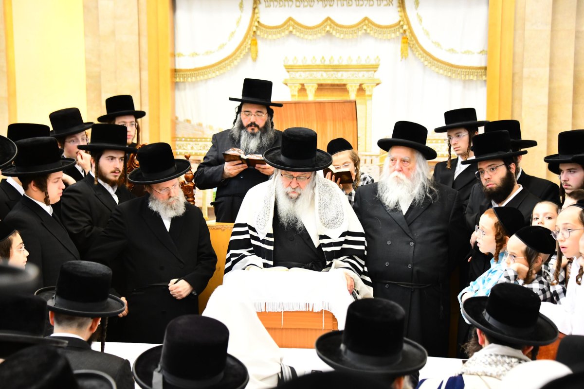 שוקי לרר