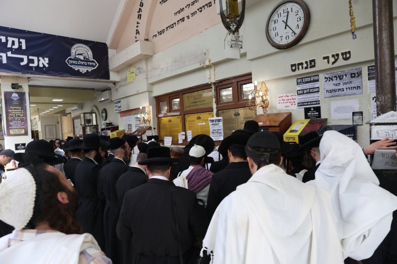  יהודה וויס