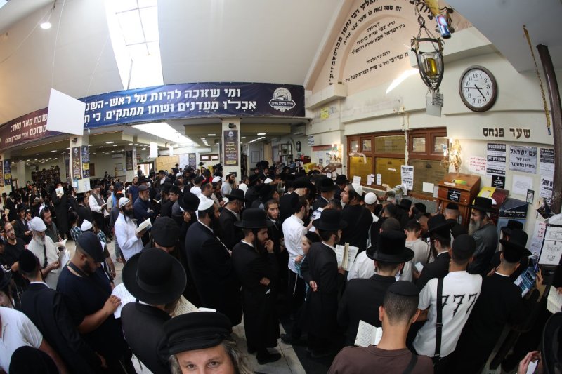  יהודה וויס