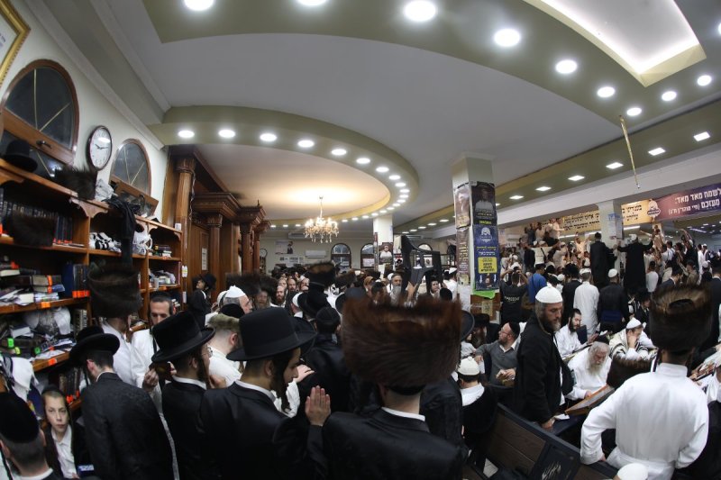  יהודה וויס