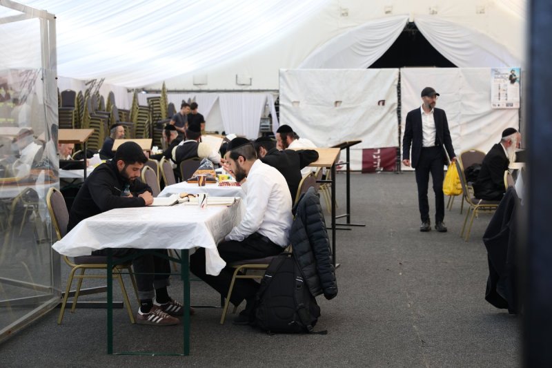 יהודה וויס
